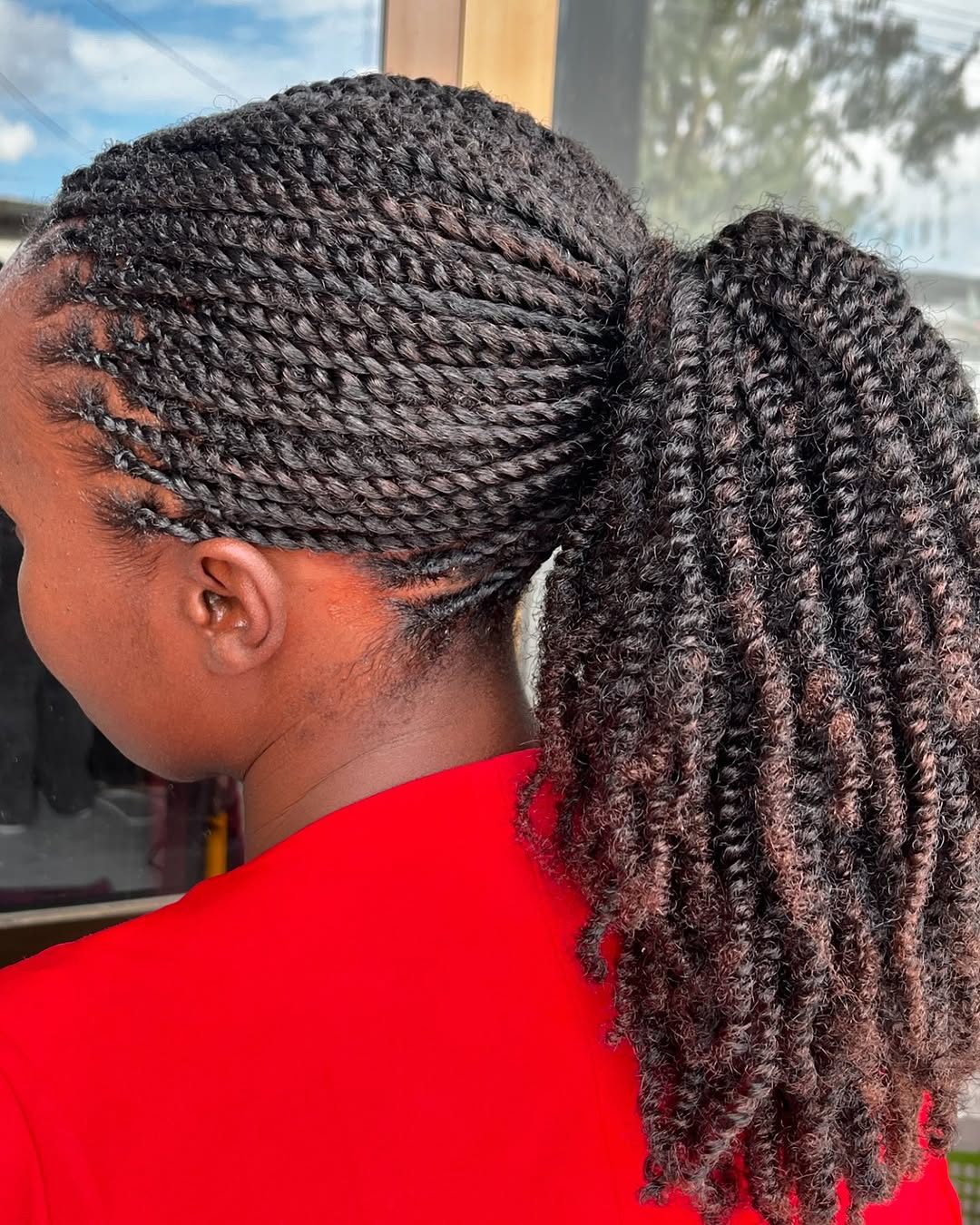 Braided ponytail back view